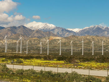 Wind turbines at palm springs