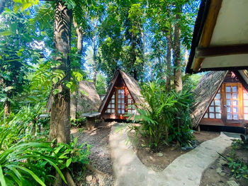 House amidst trees and plants in forest