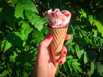 Midsection of woman holding ice cream