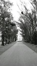 Empty road along trees