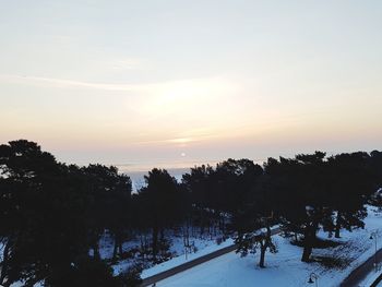 Silhouette trees against sky during winter