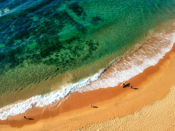 Aerial view of sea