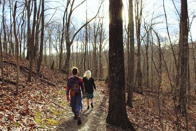 Rear view of women walking in forest during autumn