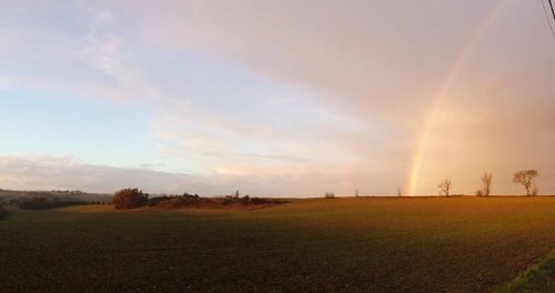 Scenic view of field against sky during sunset