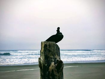 Bird perching on wooden post in sea against sky