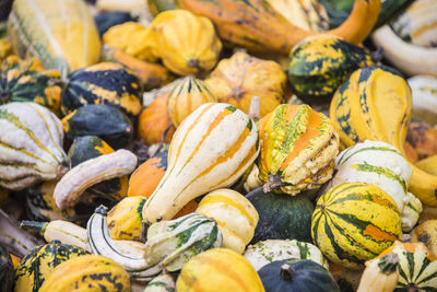 Full frame shot of pumpkins for sale