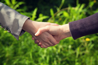 Cropped image of business colleagues shaking hands against plants during sunny day