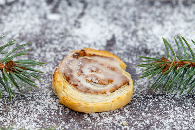 Close-up of flaky pastry christmas cookie surrounded with powdered sugar and fir branches
