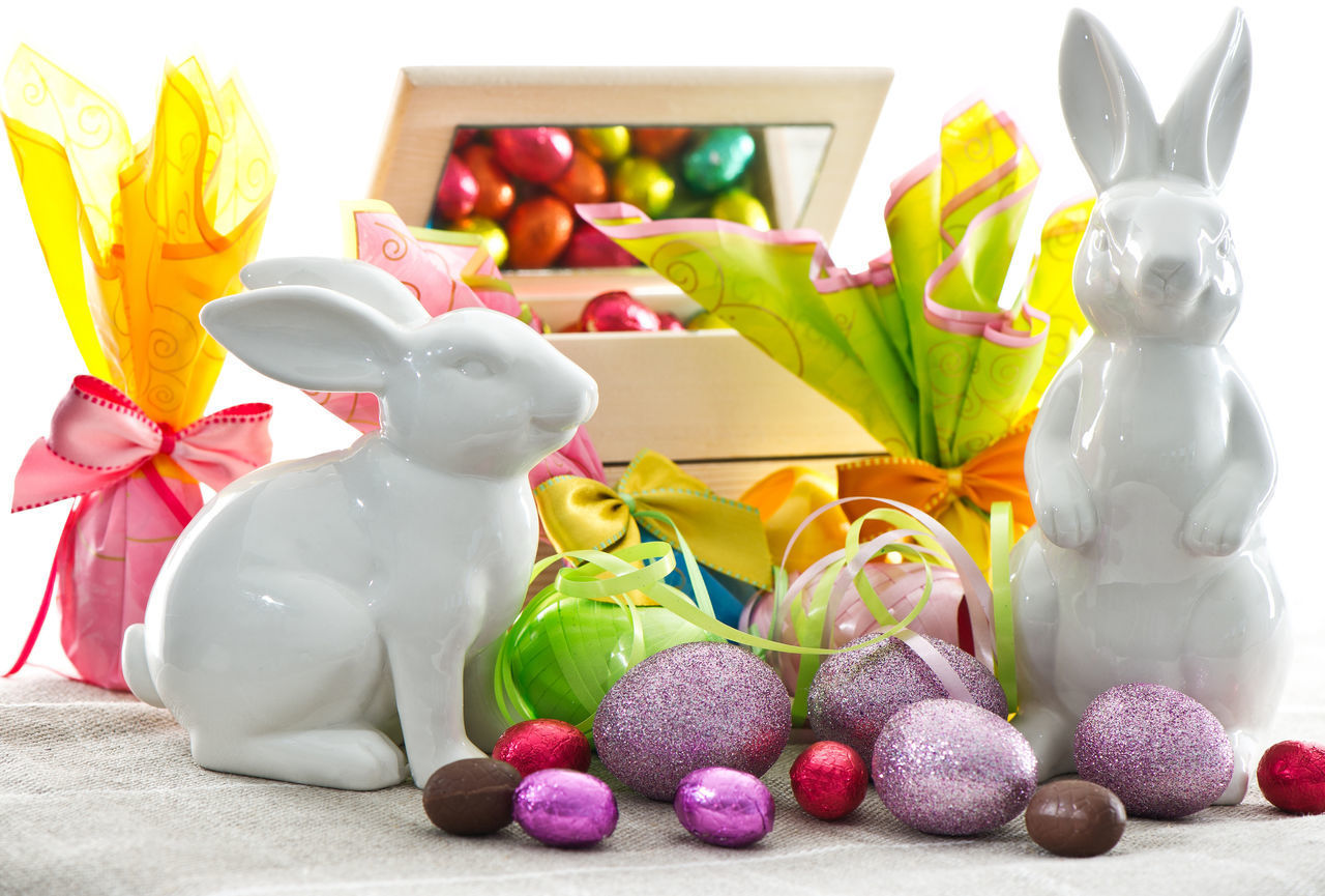 CLOSE-UP OF MULTI COLORED EGGS