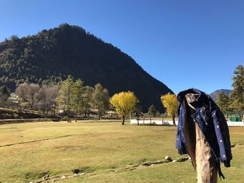 Trees on field against clear blue sky