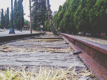 Railroad tracks amidst trees against sky