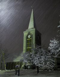 Trees against sky at night