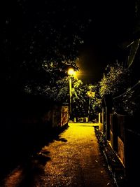 Street amidst trees and buildings at night