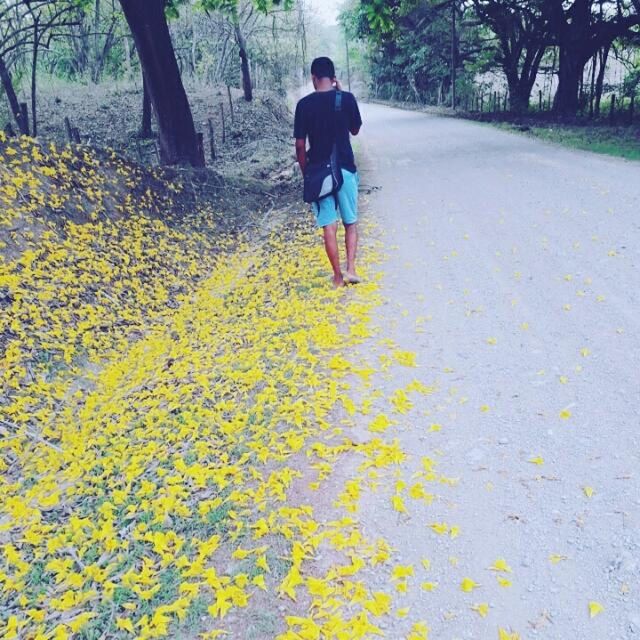 FULL LENGTH OF MAN WALKING WITH YELLOW UMBRELLA