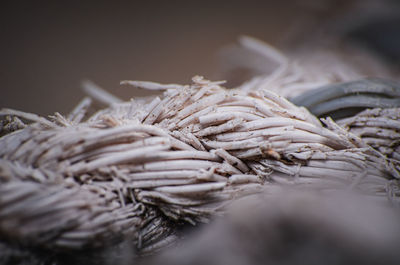 Characteristics of a nylon rope when being outdoors for a long time, close up.