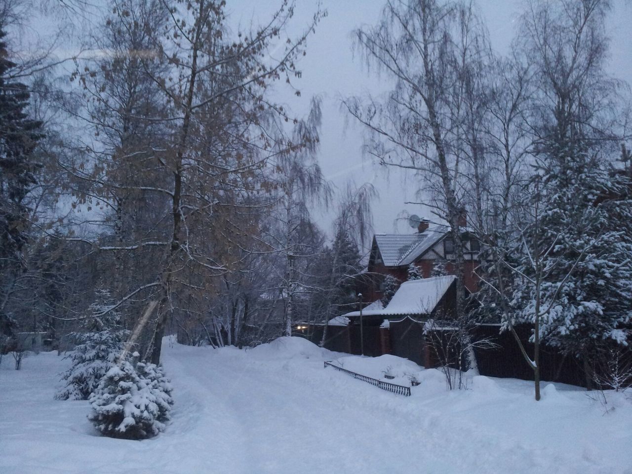 snow, winter, cold temperature, season, weather, covering, tree, covered, frozen, white color, bare tree, built structure, nature, building exterior, architecture, snow covered, landscape, tranquility, tranquil scene, field