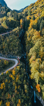 High angle view of road amidst trees during autumn