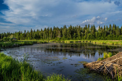 Scenic view of lake against sky