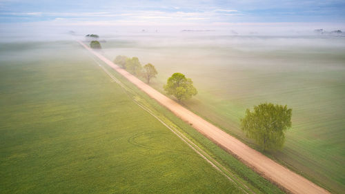 Aerial view rural dirt road, trees fog covered  misty morning panorama. rainy overcast moody weather