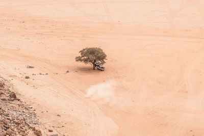 High angle view of people walking on sand at beach