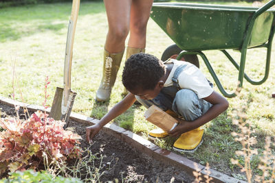 Boy sowing seeds in dirt while gardening with mother