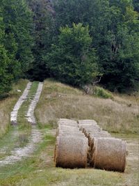 Stone wall in field