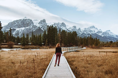 Back view of unrecognizable woman walking on curvy boardwalk located in grassy valley near coniferous forest and snowy mountain ridge in town of canmore, alberta