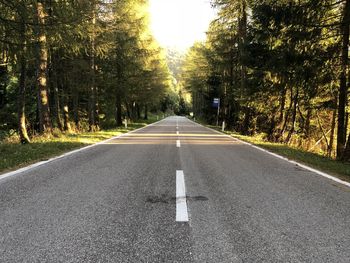 Empty road amidst trees