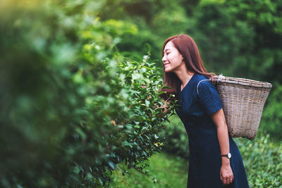 A beautiful asian woman picking tea leaf in a highland tea plantation