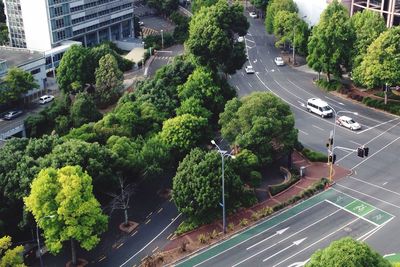 High angle view of cars on road by trees in city