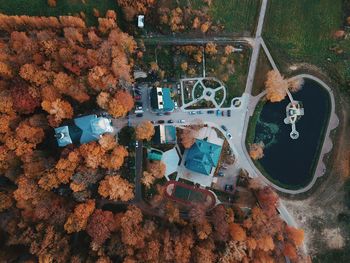 Aerial view of buildings by trees during autumn