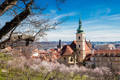 Prague city seen from the petrin gardens at the begining of spring