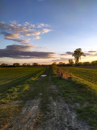 Scenic view of field against sky during sunset