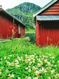 Barn on field by house