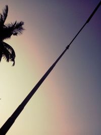 Low angle view of trees against clear sky