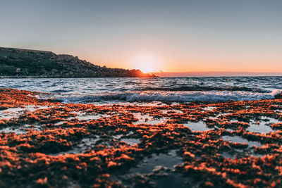 Scenic view of sea against clear sky during sunset