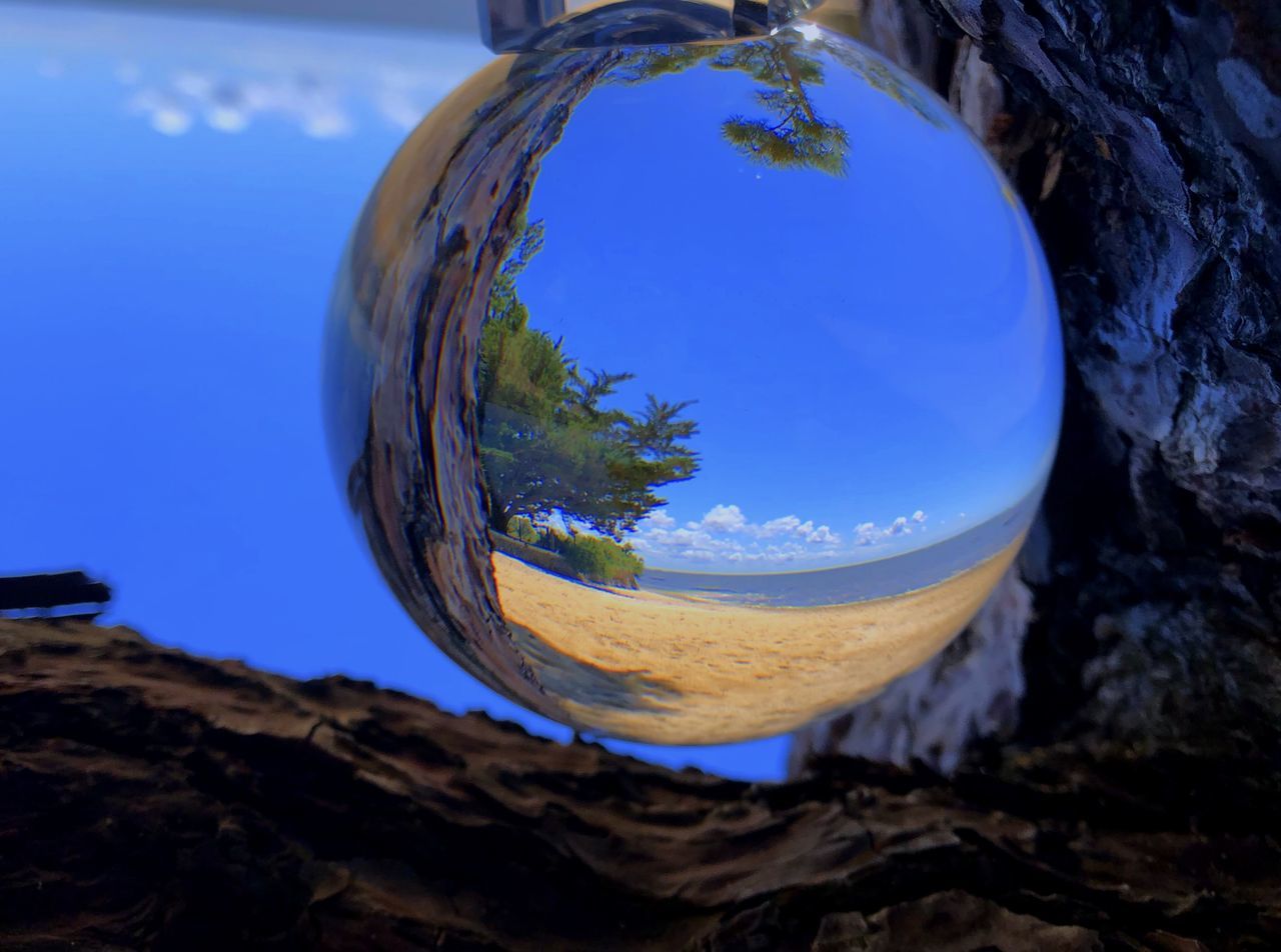 CLOSE-UP OF CRYSTAL BALL ON ROCK AGAINST TREES