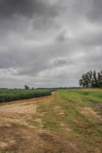 Scenic view of grassy field against cloudy sky