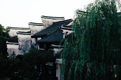 Panoramic view of trees and building against sky