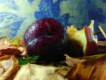 Close-up of fruits