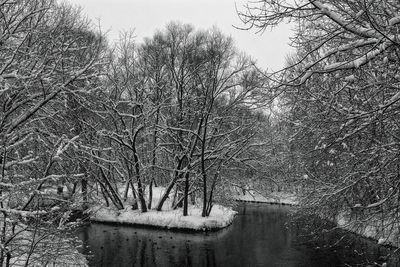 Bare trees by river against sky during winter