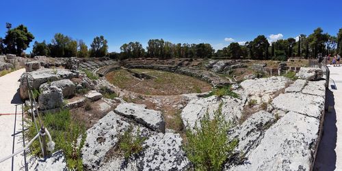 View of plants in park against sky