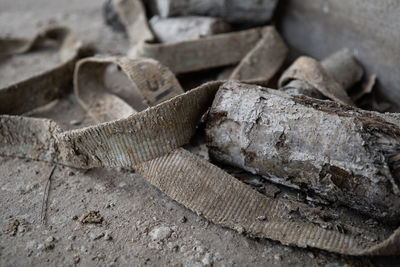 Full frame shot of logs in forest