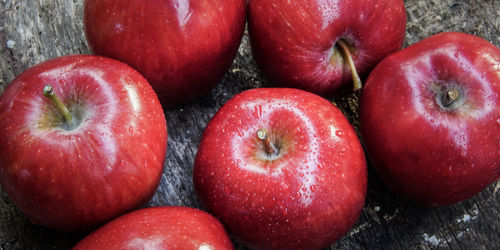 High angle view of apples on table