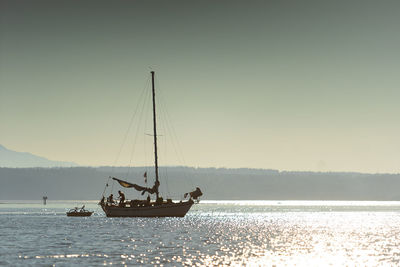 Sailboat sailing on sea against clear sky