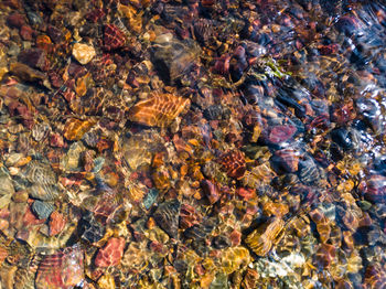 Full frame shot of multi colored rocks