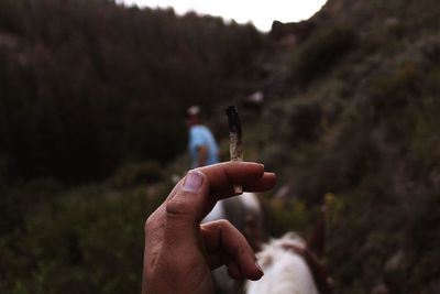Cropped hand holding burnt cigarette