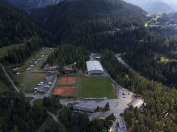 High angle view of trees and buildings in city