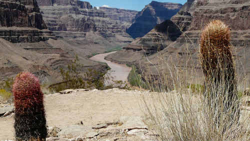 Panoramic view of landscape against sky