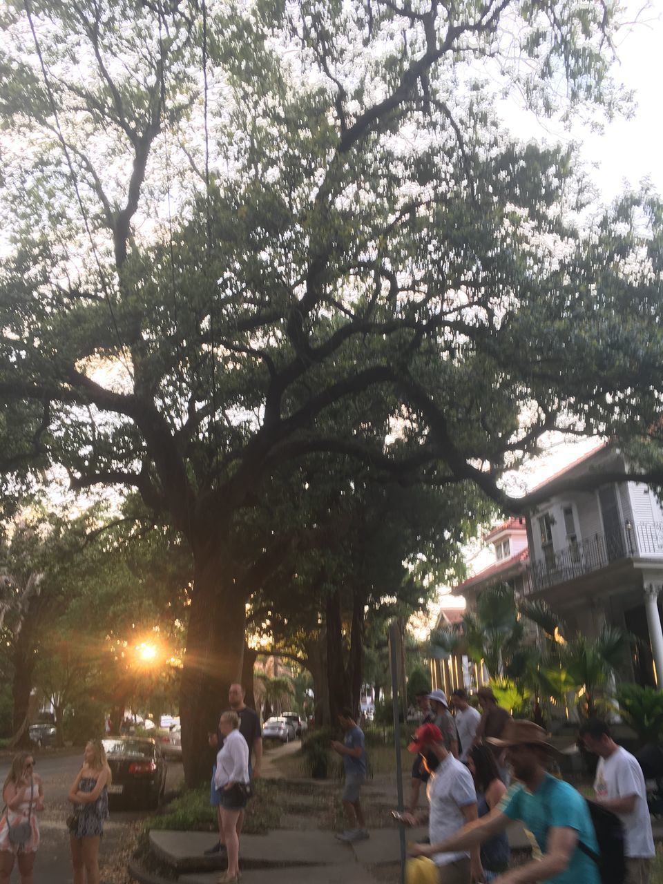 PEOPLE ON STREET IN CITY AT PARK